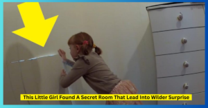 This Little Girl Found A Secret Room That Lead Into Wilder Surprise