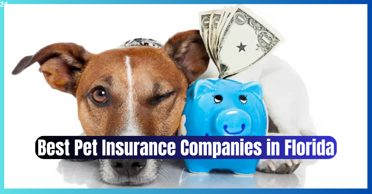 best online pet insurance,Top 5 Best Pet Insurance Companies in Florida, pet insurance i can use right away, cheapest pet insurance plans, apply for pet insurance, best dog insurance policy, best pet insurance for dogs that covers routine care, best pet insurance with routine care, best pet insurance ever, pet insurance start today, pet insurance plus wellness, best pet insurance for wellness and accidents, best pet insurance quotes, best recommended pet insurance, figo pet insurance reddit, pet insurance for companies, employee pet insurance, embrace usaa pet insurance, pet insurance through usaa, usaa pet insurance price, usaa pet health insurance, usaa pet insurance, usaa animal insurance, usaa pet insurance coverage, figo insurance costco, corporate pet insurance, usaa embrace pet insurance, embrace pet insurance usaa, pet insurance through nationwide, usaa pet insurance cost, usaa dog insurance, usaa pet insurance for dogs, usaa pet, nationwide pet quote,