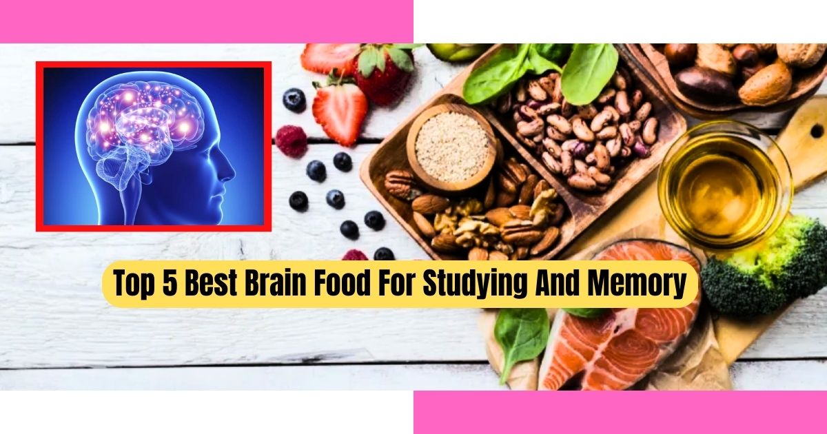 Best brain food for studying and memory, Best brain food for studying for adults, Best brain food for studying for students, memory boosting foods, five best memory boosting foods, Top 5 Best Brain Food For Studying And Memory,